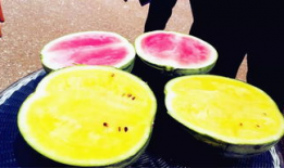 吃瓜爆料聚集怎么办,揭秘吃瓜爆料聚集背后的真相与影响