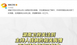 娱乐圈吃瓜帖子是什么,揭秘明星背后的故事